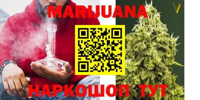 PSILOCYBIN Гатчина