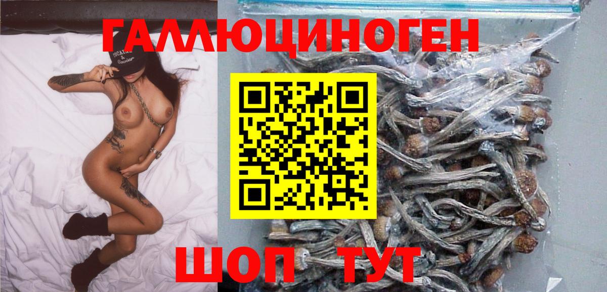 Галлюциногенные грибы мухоморы  Галлюциногенные грибы прущие грибы  Вход с VPN  Благодарный 